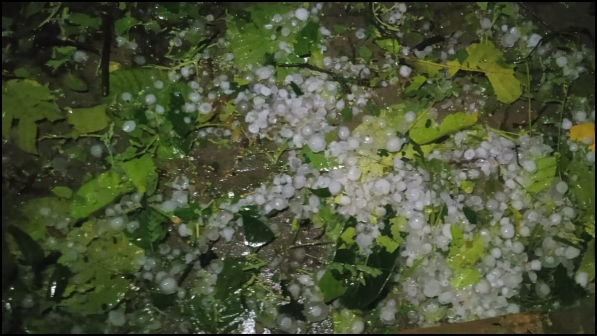 झारखंड में आंधी-तूफान और ओलावृष्टि की चेतावनी: 11 जिलों में ऑरेंज अलर्ट जारी