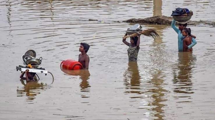 सामाजिक प्रतिक्रिया और सरकारी कदम