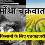 चक्रवात 'मोंथा' से फसलों की सुरक्षा के लिए एडवाइजरी जारी