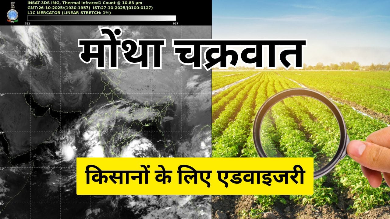 चक्रवात 'मोंथा' से फसलों की सुरक्षा के लिए एडवाइजरी जारी