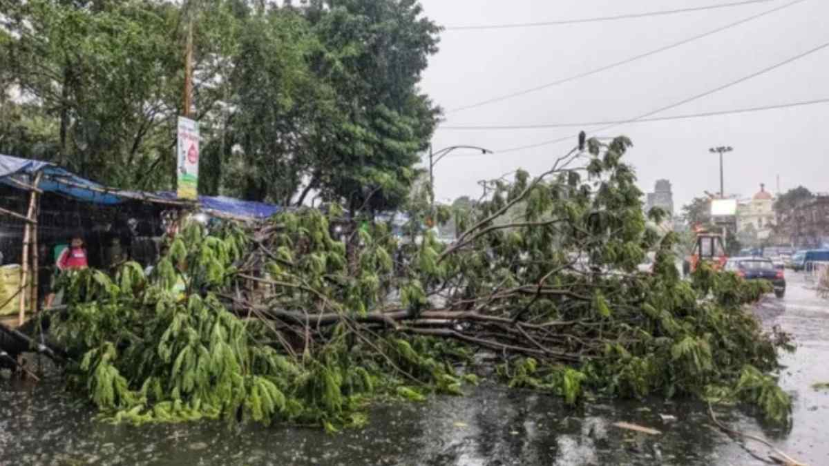 झारखंड में वज्रपात से मची तबाही झारखंड में वज्रपात से मची तबाही