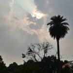 झारखंड मानसून अपडेट: इन जिलों में भारी आंधी-तूफान का अलर्ट, क्या मानसून ने दी दस्तक?
