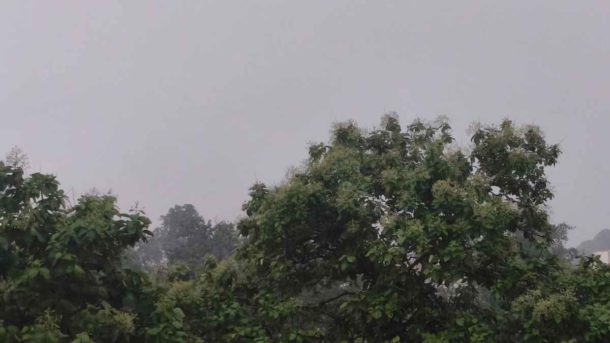 Jharkhand Weather Update: रांची समेत 13 जिलों में मौसम का यू-टर्न, ऑरेंज और येलो अलर्ट जारी!