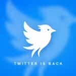 Twitter Now से मचा हड़कंप, क्या खतरे में है मस्क का X?