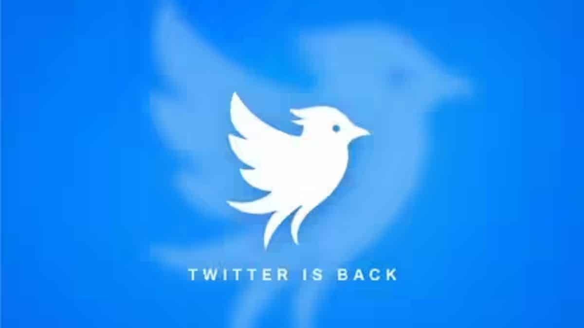 Twitter Now से मचा हड़कंप, क्या खतरे में है मस्क का X?