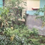 मौसम केंद्र रांची ने 6 अक्टूबर को रांची समेत राज्य के कई जिलों के लिए बारिश और वज्रपात की तात्कालिक चेतावनी जारी की।