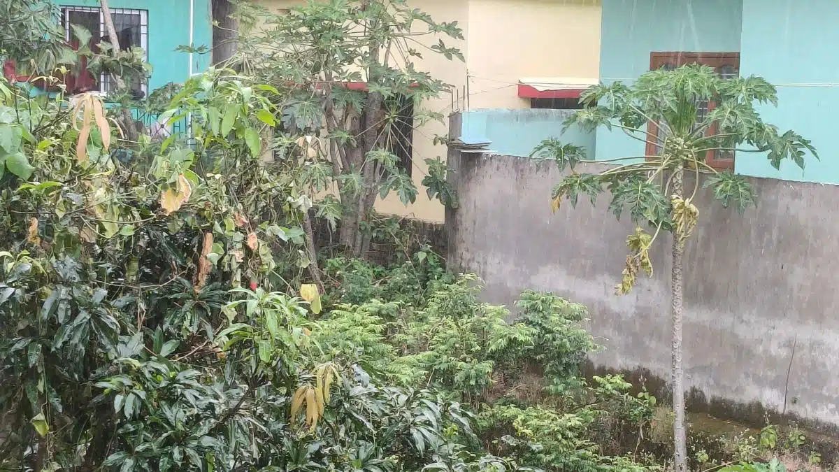 मौसम केंद्र रांची ने 6 अक्टूबर को रांची समेत राज्य के कई जिलों के लिए बारिश और वज्रपात की तात्कालिक चेतावनी जारी की।