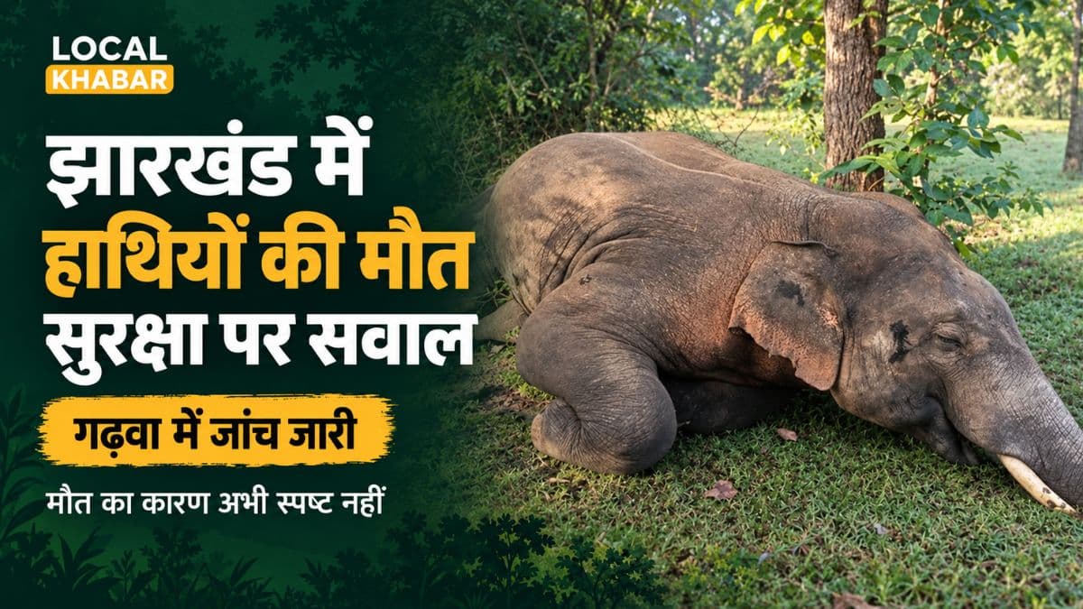 झारखंड में हाथियों की मौत: सुरक्षा पर उठते सवाल
