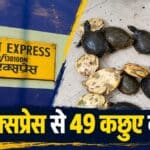 धनबाद रेलवे स्टेशन पर दून एक्सप्रेस से बरामद जीवित कछुए।