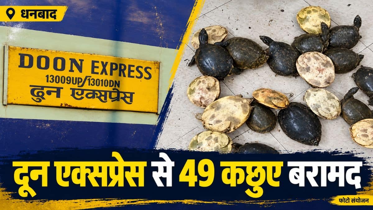 धनबाद रेलवे स्टेशन पर दून एक्सप्रेस से बरामद जीवित कछुए।