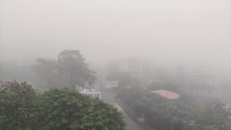 झारखंड मौसम: राज्य में डाल्टनगंज सबसे ठंडा दिन तो लातेहार की रात सबसे सर्द, डोमचांच में सबसे ज्‍यादा बारिश